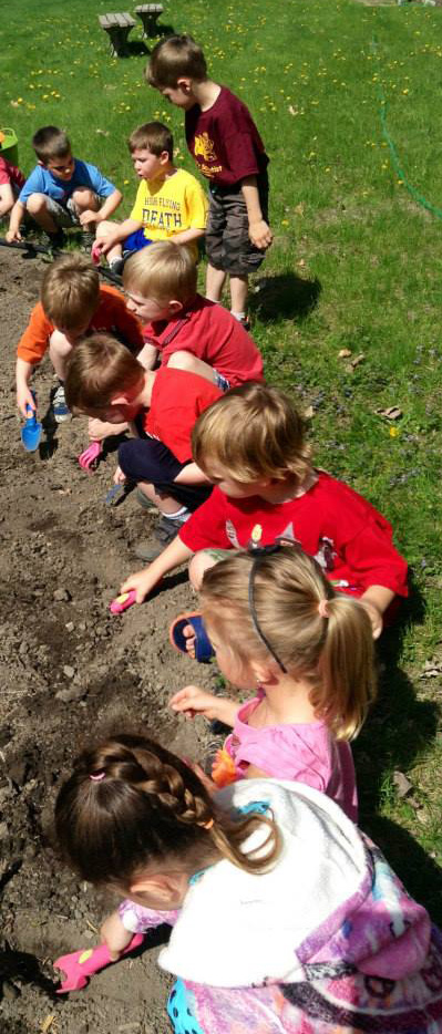 kids-gardening crop